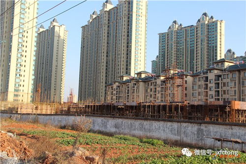 香悦丽都2017年12月20日工程进度