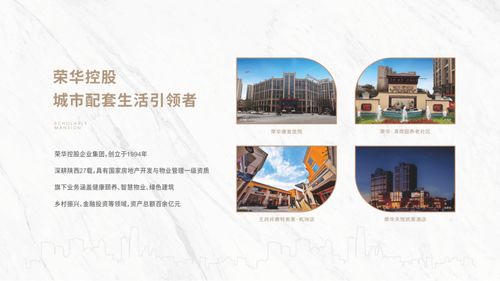 学府中城 开发商介绍 vr看房 南北通透 产品介绍