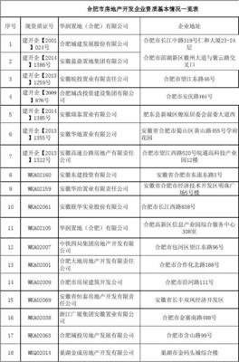 合肥市房地产开发企业资质基本情况一览表(20150512)