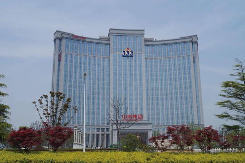 共创发展新格局,中南集团董事会主席一行莅临新明珠绿色智能制造示范工厂考察