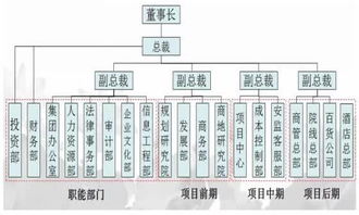 万科 华润 万达 等12家房地产公司组织架构图