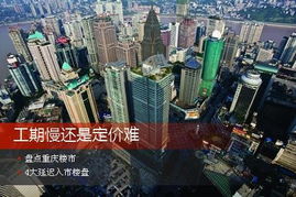 工期慢还是定价难 盘点重庆楼市4大延迟入市楼盘